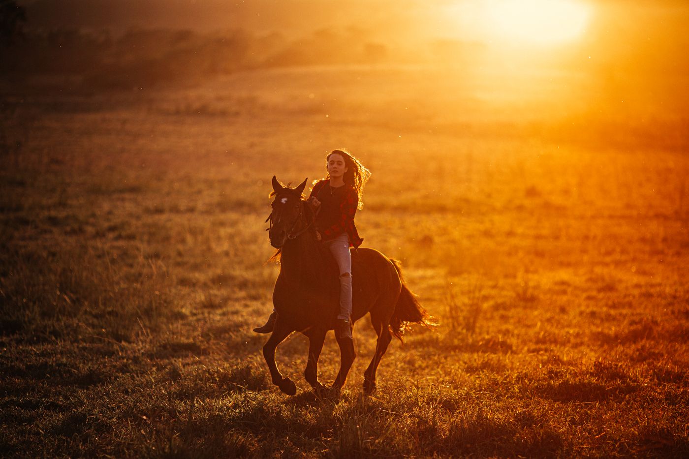 Jinete al atardecer